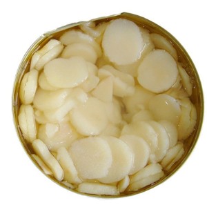 Châtaignes d'eau coupées en tranches de qualité supérieure, en conserve, prêtes à l'emploi, texture croustillante et douceur naturelle, saveur ananas - Product Image 1