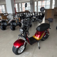 Feiwo X21 İki Tekerlekli Elektrikli Scooter 1000W/2000W Dijital Şişman Lastikli Disk Frenli Tam Süspansiyonlu 200kg Taşıma Kapasiteli