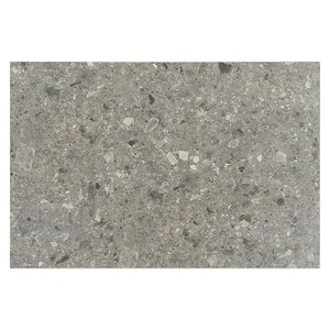 Piastrella in Porcellana Grigia Nantes 12x24 Pollici per Pavimenti e Pareti - Product Image 1