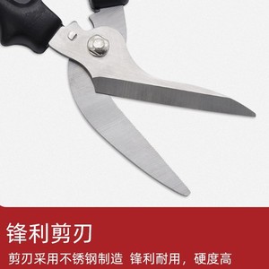 Nice <b>Pruning</b> Shears Stainless Steel 55mm Straight Head Garden <b>Tools</b> Sharp Durable For <b>Tree</b> Branch Cutting - Product Image 5