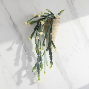 <span class=keywords><strong>Cactus</strong></span> Epiphyllum Artificiale da Parete <span class=keywords><strong>in</strong></span> Vaso Conico Intrecciato, Decorazione di Orchidea <span class=keywords><strong>Cactus</strong></span> Finta Pendente - Product Image 4