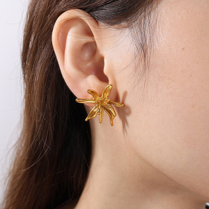 Boucles d'oreilles clous en acier inoxydable plaqué or 18 carats, design irrégulier pour femmes - Product Image 4