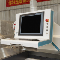 Solution de cintrage de barres omnibus CNC efficace pour la fabrication de conduits de bus Lijian Busbar Machine à cintrer horizontale