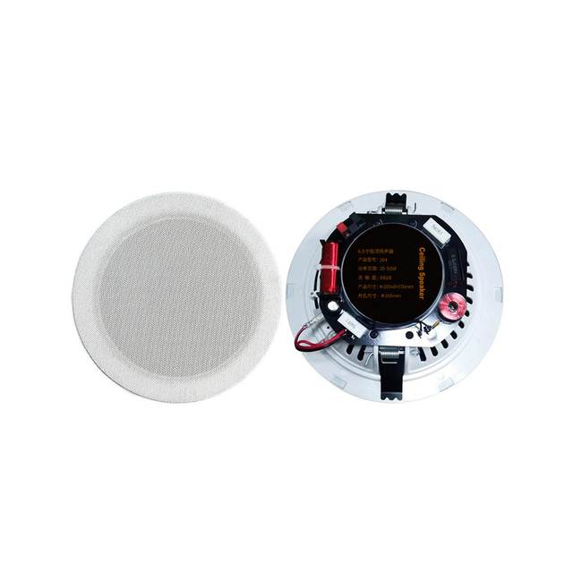 Oem/Odm Impressive Sound Quality 6-Inch Coaxial In-Wall Ceiling Speaker 20W Rimless Subwoofer Ceiling Speaker Home Theatre