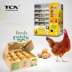 Máy Bán Trứng TCG Máy Bán Hàng Tự Động Máy Bán Trứng Cổ Máy Bán Trứng Gà Để Bán - Product Image 2
