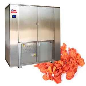 IKE CE Power Saving Technology Factory Vegetable Fruit Dehydrator Machine Food Carrot Dehydrator Machine Heat Pump
