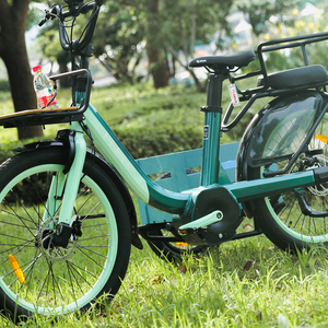 Bicicleta Eléctrica Urbana de 24 Pulgadas con Batería de Litio de 250w para Mujer, en Oferta - Product Image 2