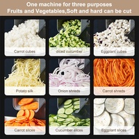 10MM Hoge Uniforme Roosterbladmaat Optionele Groentesnijder Aardappelsnijder Blokjes Handmatige Groente- en Fruitsnijder Machines