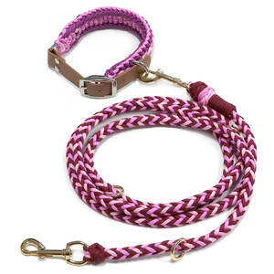 1er-Pack <span class=keywords><strong>M</strong></span> Wasserdichtes Robustes Hunde- und Halsband-Set mit Leine für Outdoor-Training und Spaziergänge - Product Image 5