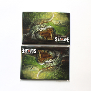 Magnete del frigorifero souvenir su misura sealife aquarium / Featherdale Wildlife park, stampando la tua fotografia fotografica - Product Image 2