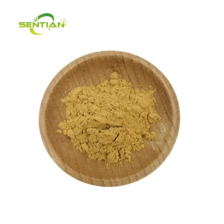 Echinacoside powder bulk Cistanche Tubulosa Extract Echinacoside 20%