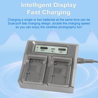 Chargeur double LCD NP-FZ100 NPFZ100 pour batteries Sony NP-FZ100 FW50 F550 F570 F970 F990 FP50 FH50 100 F980