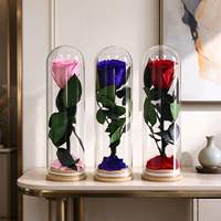 Rose éternelle artisanale en tube de verre, boîte cadeau romantique, longue durée (3-5 ans), mariage, Saint-Valentin