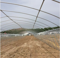 Serre tunnel saisonnière pour culture hivernale avec structure en acier galvanisé