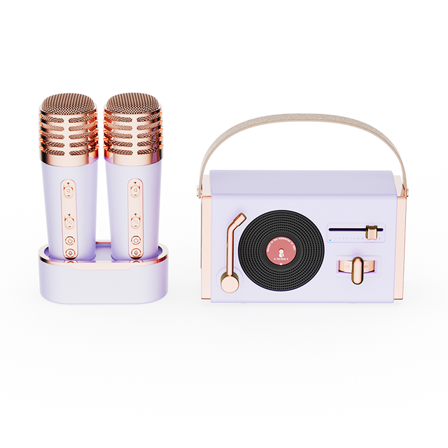 High Quality Wireless Speaker Portable Karaoke Speaker with Wireless Mic for Home Party, Kids Gift
