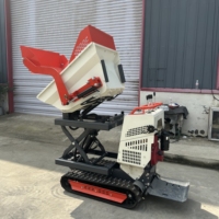Garten- und Landwirtschafts-Minidumper mit Hebefunktion, 500KG Tragkraft, Kleiner Raupendumper, Tragbarer und Kompakter Mini-Dumper