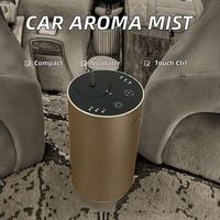 Marque privée en alliage d'aluminium Portable Rechargeable huile essentielle voiture désodorisant brouillard vaporisateur sans eau aromathérapie