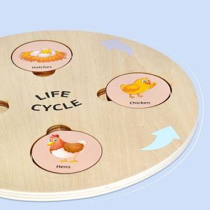 Homeschool Supplies Activities Toy Children Ladybug Butterfly Bee Insect Life Cycle <b>Puzzle</b> Sets - Product Image 5