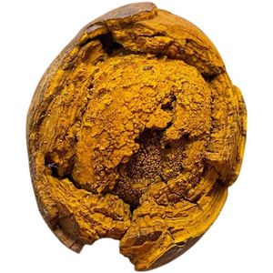 Cápsulas de cálculos bezoares de ganado de alta calidad para cosméticos, salud de la vejiga intestinal, suministro al por mayor, el mejor <span class=keywords><strong>precio</strong></span> de mercado - Product Image 5