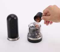 Moulin à sel et à poivre électrique rechargeable 2 en 1 à main, en plastique, avec charge USB et lumière