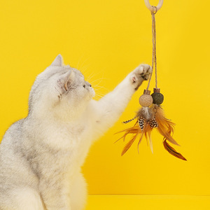 Luxury Pet Toys Various Cute Styles Interactive Chew Stick Toy for <strong>Cats</strong> Teething Stick With <strong>Catnip</strong> Cute <strong>Funny</strong> Interactive Toy - Product Image 3