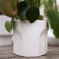 Pot de fleur pour plante d'intérieur et d'extérieur Décoration de jardin à la mode Jardinières succulentes en ciment