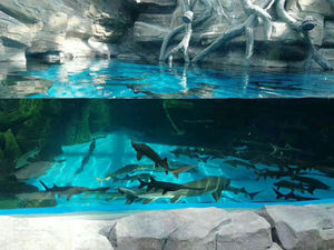 Forma personalizzata cilindro rettangolo trasparente acquario di pesce serbatoio di vetro 2021 cina acquari e accessori 5l serbatoio di acqua di plastica pesce - Product Image 3