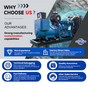 China Original 30kw Brushless Water-Cooled Open Frame <b>Generator</b> Auto Start Remote Start 50Hz 400V/230V TSL-30YC Model TSL-30YC H - Product Image 5