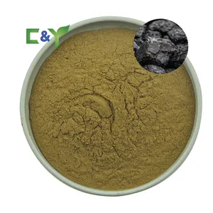 Manufacturers selling shilajit in pakistan shilajit capsules shilajit extract powder