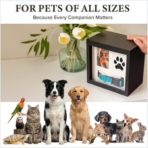 Urna de madera económica al por mayor para perros, caja de recuerdo para gatos con ranura para colgar en el <span class=keywords><strong>collar</strong></span>, caja de recuerdo para cremación de mascotas, regalo conmemorativo - Product Image 6