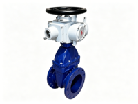 Vanne à opercule électrique à bride PN16 DN50-DN350 en fonte ductile à joint souple pour le contrôle de l'eau avec actionneur