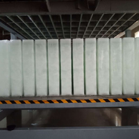 Machine de fabrication de glace, appareil à refroidissement direct, économie d'énergie 30%, 20 tonnes