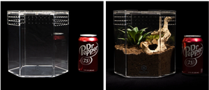 Aangepaste Grootte En Logo 5Mm Acryl Zeshoekige Vorm Reptiel Terrarium Zeshoek Acryl Behuizing - Product Image 3