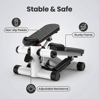 Mini stepper réglable en résistance, équipement d'exercice de marche, vente chaude, salle de sport personnalisée, domicile