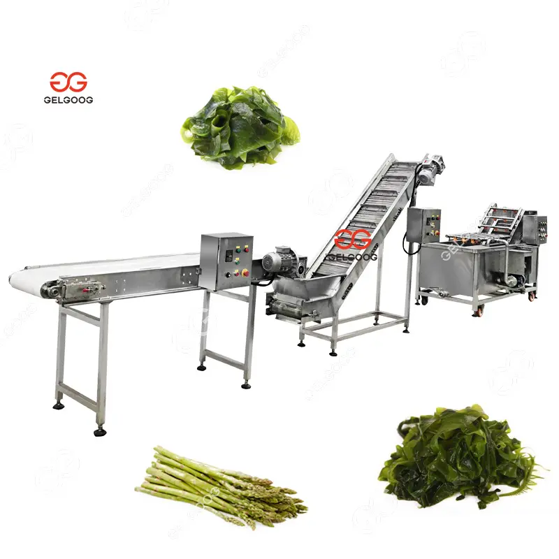 Diskon besar pencuci sikat sayuran laut/Asparagus mesin cuci sikat otomatis untuk sayuran