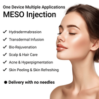 Pistola de Mesoterapia TDA de Alta Presión, Máquina de Peeling a Chorro de Alta Velocidad de 450 m/s para Infusión de Suero, Rejuvenecimiento Facial y Refrescante de la Piel