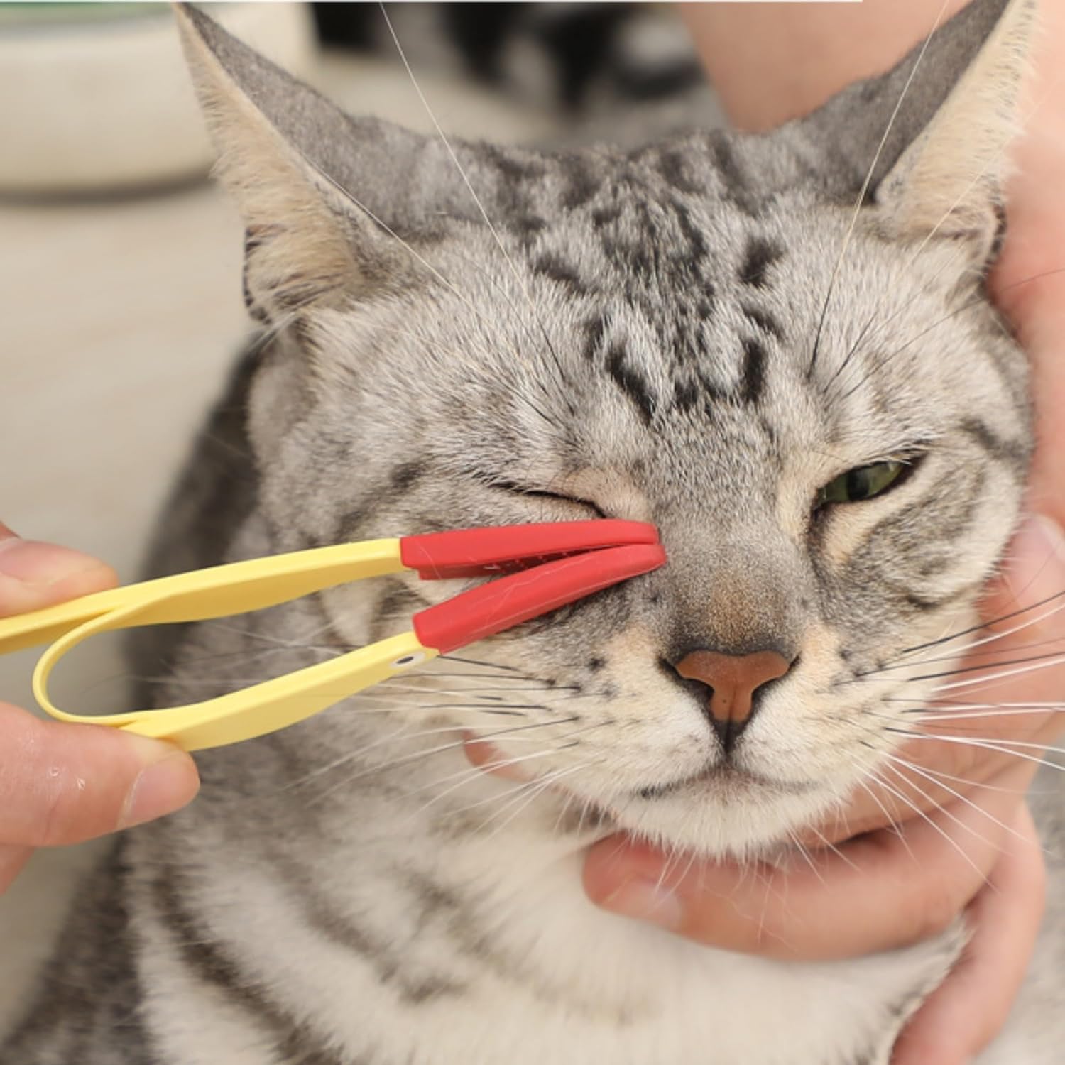 Sikat lembut pembersih mata hewan peliharaan, sisir penghilang noda mata kucing, sikat lendir