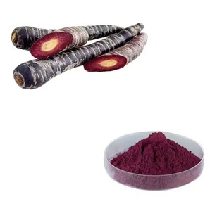 100% tự nhiên tinh khiết daucus carota đen chiết xuất củ cải đen cà rốt nước trái cây tập trung bột - Product Image 2
