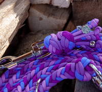 Laisse pour chien en paracorde tressée, couleur violette, avec logo personnalisé, en nylon durable, pour animaleries et salons de toilettage