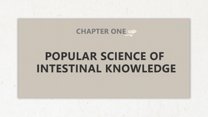 シェンキ有機健康茶固形飲料ボックスは、腸内減量を促進しますボディシェイピングは血糖値を下げ、便秘を和らげます - Product Image 4