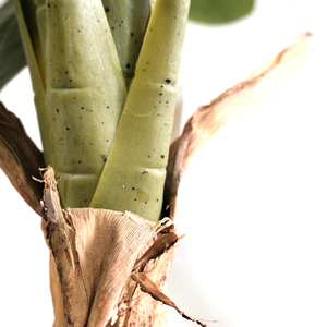 Árbol de <span class=keywords><strong>Acacia</strong></span> Artificial de Alta Calidad, Certificado, con Tacto Realista, de PE Ecológico y Duradero, para Interiores, Jardín, Hogar, Festivales, Maceta, Oficina - Product Image 4