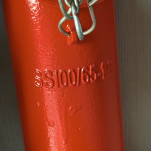 Hydrant anti-collision pour incendies au sol |   Robinet d'incendie flexible extérieur en fonte thermolaquée 2/3 voies DN65 DN80 1.6MPa - Product Image 5