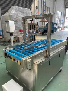 Manufacturer's Hot Selling Fruit And Vegetable Foam Box Automatic Packer Cold Chain Automatic Packer
