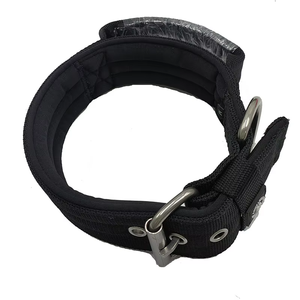 Venta directa Nuevo producto Collares de perro de nailon de entrenamiento de alta resistencia <span class=keywords><strong>Collar</strong></span> de perro mascota duradero ajustable con mango de control - Product Image 2