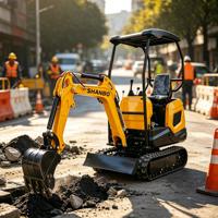 Mini-excavatrice domestique de 0,8 tonne, moteur haute performance de 7,6 kW, pour travaux de terrassement municipaux de petite envergure