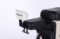 Vélo de ville électrique le plus populaire avec logo personnalisé, moteur de moyeu arrière à 3 vitesses, cadre en acier à haute teneur en carbone numérique, batterie au lithium 60V