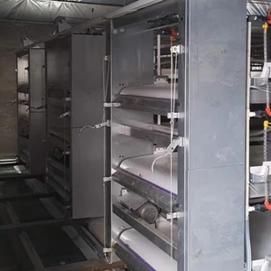 H tipi ünlü marka et tavuk Broiler tavuk otomatik içme besleme gübresi konveyör bant sistemi ile kafesleri yükselterek - Product Image 4