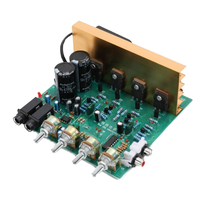 OK100W çift 100W DIY ses mikrofon ile elektrik panosu yeni 2.0 kanal ev amplifikatör elektronik bileşen
