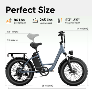 Bicicleta Eléctrica con Envío Gratuito en la UE, Motor de 250W, Neumático Grueso de 4.0'', Bicicleta Urbana de Acero al Carbono - Product Image 4
