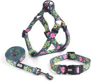 QQPETS Dog Harness - No Pull Pet Adjustable Back <b>Clip</b> Halter Basic <b>Collar</b> Heavy Duty 5Ft Anti-Twist Leash For Extra Small Puppy - Product Image 1